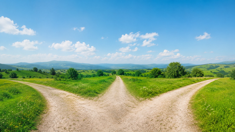 3つの道に分かれた分かれ道のイメージ。自分に合ったカテゴリを選ぶことを表す風景